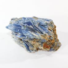 Load image into Gallery viewer, Large kyanite crystal cluster 3.37kg | ASH&amp;STONE Crystal Shop Auckland NZ
