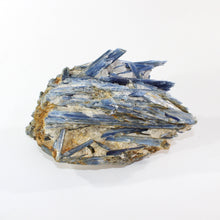 Load image into Gallery viewer, Large kyanite crystal cluster 3.37kg | ASH&amp;STONE Crystal Shop Auckland NZ
