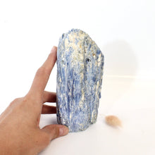 Load image into Gallery viewer, Large kyanite crystal with cut base 1.33kg | ASH&amp;STONE Crystals Shop Auckland NZLarge kyanite crystal with cut base 1.33kg | ASH&amp;STONE Crystals Shop Auckland NZ
