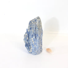 Load image into Gallery viewer, Large kyanite crystal with cut base 1.33kg | ASH&amp;STONE Crystals Shop Auckland NZ
