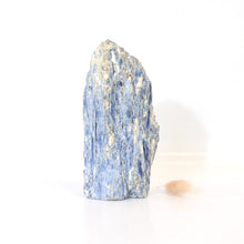 Load image into Gallery viewer, Large kyanite crystal with cut base 1.33kg | ASH&amp;STONE Crystals Shop Auckland NZ
