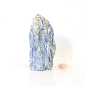 Large kyanite crystal with cut base 1.33kg | ASH&STONE Crystals Shop Auckland NZ