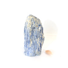 Load image into Gallery viewer, Large kyanite crystal with cut base 1.33kg | ASH&amp;STONE Crystals Shop Auckland NZ
