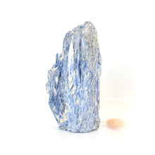 Load image into Gallery viewer, Large kyanite crystal with cut base 1.33kg | ASH&amp;STONE Crystals Shop Auckland NZ
