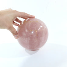 Load image into Gallery viewer, Large rose quartz crystal sphere 4.26kg | ASH&amp;STONE Crystal Shop Auckland NZ
