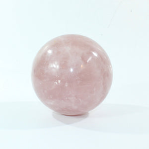 Large rose quartz crystal sphere 4.26kg | ASH&STONE Crystal Shop Auckland NZ