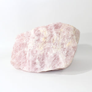 Extra large rose quartz crystal chunk 40kg | ASH&STONE Crystals Shop Auckland NZ