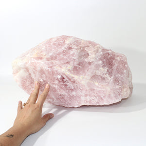 Extra large rose quartz crystal chunk 40kg | ASH&STONE Crystals Shop Auckland NZ