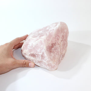 Large rose quartz crystal chunk 2.9kg | ASH&STONE Crystals Shop Auckland NZ