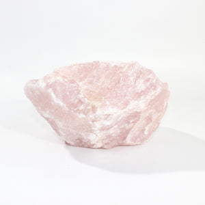 Large Rose Quartz Crystal Chunk 5.26kg | ASH&STONE Crystals Shop Auckland NZ