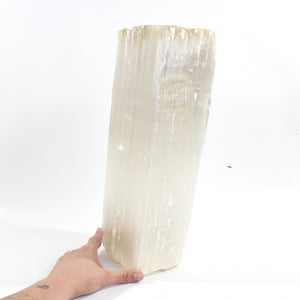 Large raw selenite crystal 15.4kg | ASH&STONE Crystal Shop Auckland NZ