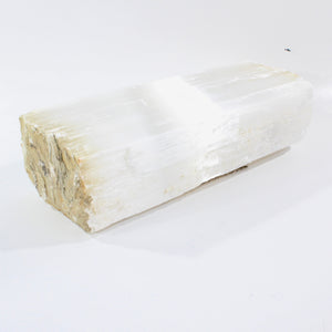 Large raw selenite crystal 15.4kg | ASH&STONE Crystal Shop Auckland NZ