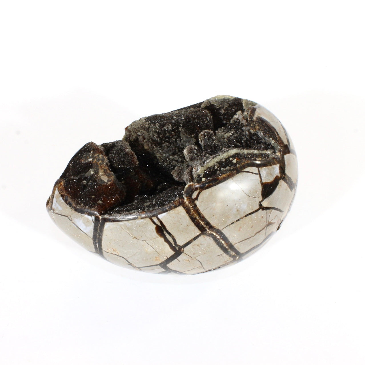 Large black septarian crystal egg 3.26kg | ASH&STONE Crystals Shop Auckland NZ