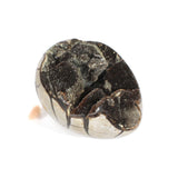 Large black septarian crystal egg 3.26kg | ASH&STONE Crystals Shop Auckland NZ