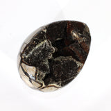 Large black septarian crystal egg 3.26kg | ASH&STONE Crystals Shop Auckland NZ