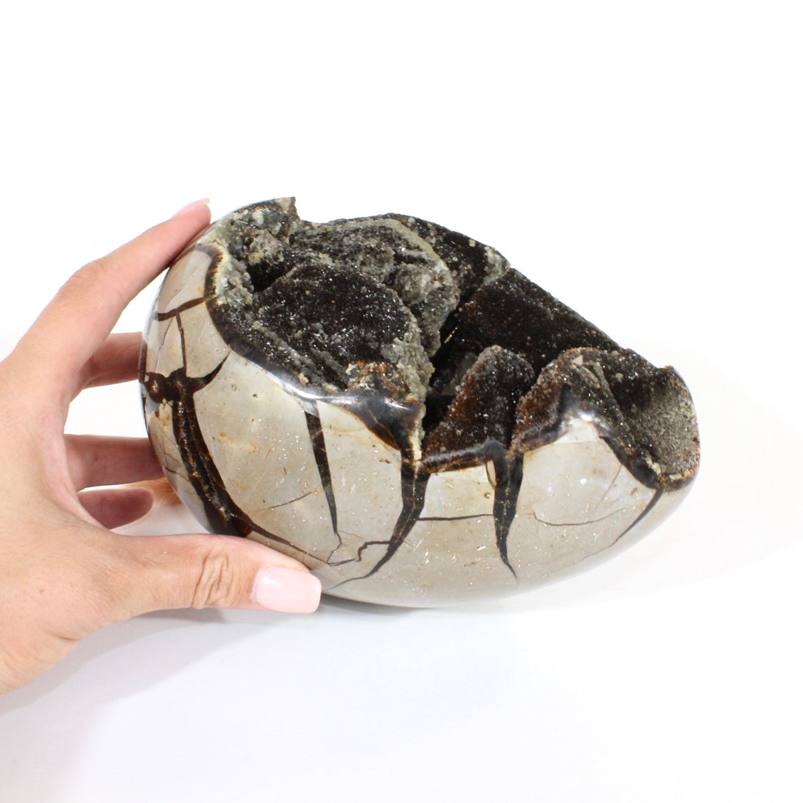 Large black septarian crystal egg 3.26kg | ASH&STONE Crystals Shop Auckland NZ