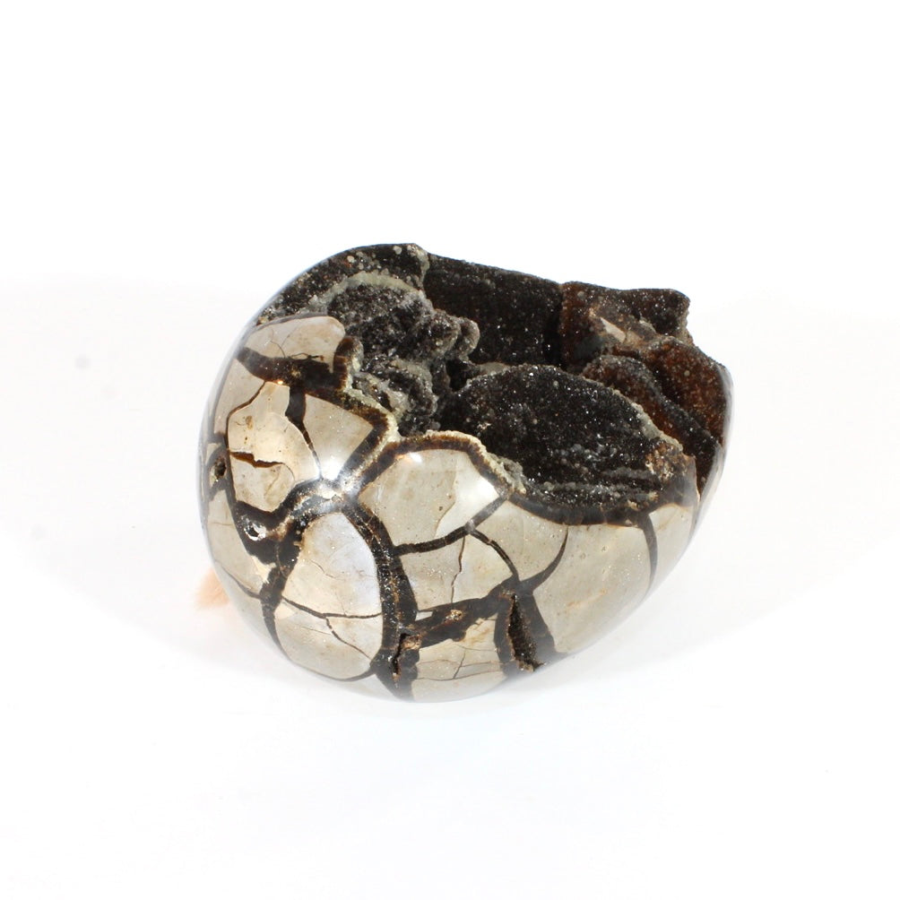 Large black septarian crystal egg 3.26kg | ASH&STONE Crystals Shop Auckland NZ