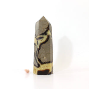 Large septarian crystal tower 1.02kg | ASH&STONE Crystals Shop Auckland NZ