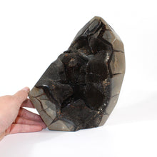 Load image into Gallery viewer, Large black septarian crystal cut base 5.39kg | ASH&amp;STONE Crystals Shop Auckland NZ
