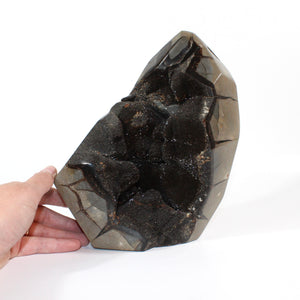 Large black septarian crystal cut base 5.39kg | ASH&STONE Crystals Shop Auckland NZ