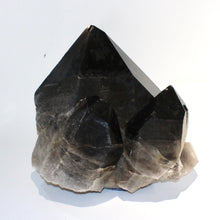 Load image into Gallery viewer, Extra large smoky quartz crystal clustered points 39.6kg | ASH&amp;STONE Crystal Shop Auckland NZ
