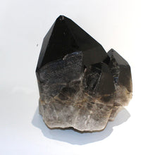 Load image into Gallery viewer, Extra large smoky quartz crystal clustered points 39.6kg | ASH&amp;STONE Crystal Shop Auckland NZ
