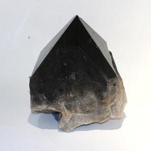 Extra large smoky quartz crystal clustered points 39.6kg | ASH&STONE Crystal Shop Auckland NZ