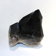 Load image into Gallery viewer, Extra large smoky quartz crystal clustered points 39.6kg | ASH&amp;STONE Crystal Shop Auckland NZ
