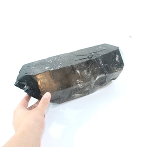 Large double terminated smoky quartz crystal point 11.45kg | ASH&STONE Crystal Shop Auckland NZ