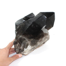 Load image into Gallery viewer, Large smoky quartz crystal clustered points 10.35kg | ASH&amp;STONE Crystal Shop Auckland NZ
