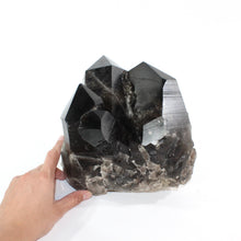 Load image into Gallery viewer, Large smoky quartz crystal clustered points 10.35kg | ASH&amp;STONE Crystal Shop Auckland NZ
