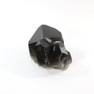 Large smoky quartz crystal clustered points 4.55kg | ASH&STONE Crystal Shop Auckland NZ