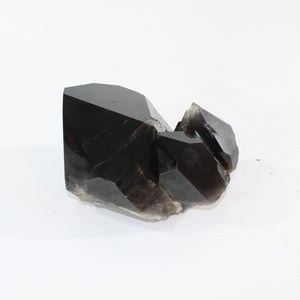 Large smoky quartz crystal clustered points 4.55kg | ASH&STONE Crystal Shop Auckland NZ