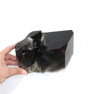 Large smoky quartz crystal clustered points 4.55kg | ASH&STONE Crystal Shop Auckland NZ