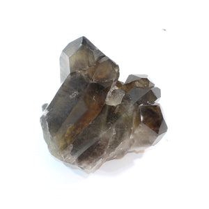 Large smoky quartz crystal cluster 7.21kg | ASH&STONE Crystal Shop Auckland NZ