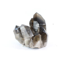 Load image into Gallery viewer, Large smoky quartz crystal cluster 7.21kg | ASH&amp;STONE Crystal Shop Auckland NZ
