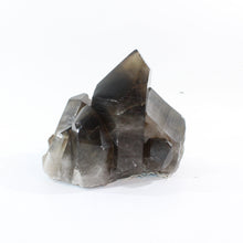 Load image into Gallery viewer, Large smoky quartz crystal cluster 7.21kg | ASH&amp;STONE Crystal Shop Auckland NZ
