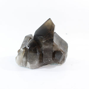 Large smoky quartz crystal cluster 7.21kg | ASH&STONE Crystal Shop Auckland NZ