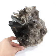 Load image into Gallery viewer, Large smoky quartz crystal cluster 7.18kg | ASH&amp;STONE Crystal Shop Auckland NZ
