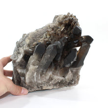 Load image into Gallery viewer, Large smoky quartz crystal cluster 7.18kg | ASH&amp;STONE Crystal Shop Auckland NZ
