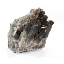 Load image into Gallery viewer, Large smoky quartz crystal cluster 7.18kg | ASH&amp;STONE Crystal Shop Auckland NZ
