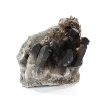 Load image into Gallery viewer, Large smoky quartz crystal cluster 7.18kg | ASH&amp;STONE Crystal Shop Auckland NZ
