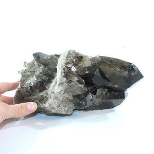 Large smoky quartz crystal cluster 4.35kg | ASH&STONE Crystal Shop Auckland NZ