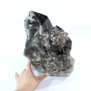 Large smoky quartz crystal clustered points 21.6kg | ASH&STONE Crystal Shop Auckland NZ