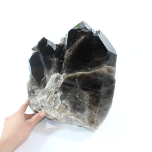 Large smoky quartz crystal clustered points 21.6kg | ASH&STONE Crystal Shop Auckland NZ