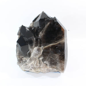 Large smoky quartz crystal clustered points 21.6kg | ASH&STONE Crystal Shop Auckland NZ