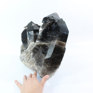 Large smoky quartz crystal clustered points 21.6kg | ASH&STONE Crystal Shop Auckland NZ