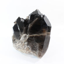 Load image into Gallery viewer, Large smoky quartz crystal clustered points 21.6kg | ASH&amp;STONE Crystal Shop Auckland NZ
