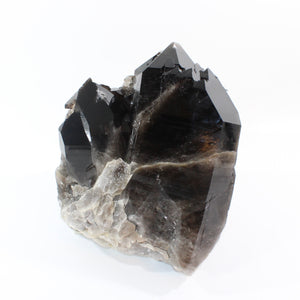 Large smoky quartz crystal clustered points 21.6kg | ASH&STONE Crystal Shop Auckland NZ