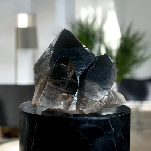 Extra large smoky quartz crystal clustered points 39.6kg | ASH&STONE Crystal Shop Auckland NZ